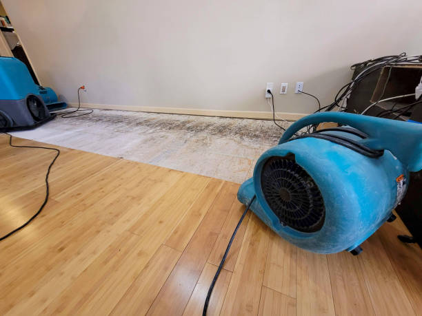 Professional Sewage Cleanup technician working in Kingsville, OH